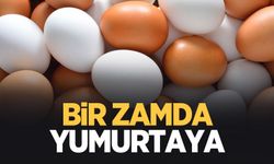 Yumurtaya zam