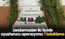 Jandarmadan iki ilçede uyuşturucu operasyonu: 1 tutuklama