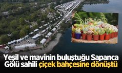 Yeşil ve mavinin buluştuğu Sapanca Gölü sahili çiçek bahçesine dönüştü