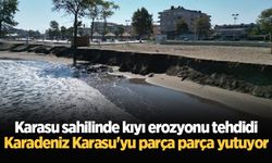 Karasu sahilinde kıyı erozyonu tehdidi: Karadeniz Karasu'yu parça parça yutuyor