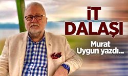 İt dalaşı