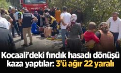 Kocaali'deki fındık hasadı dönüşü kaza yaptılar: 3'ü ağır 22 yaralı