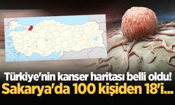 Türkiye'nin kanser haritası belli oldu! Sakarya'da 100 kişiden 18'i...