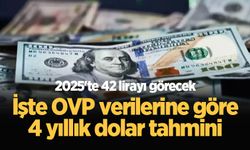 2025-2027 OVP'sinde dolar kuru hedefi açıklandı!