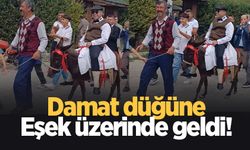 Sıradışı düğün; Damat eşekle getirildi!