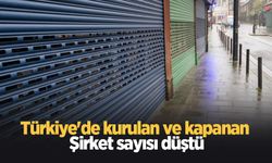 Türkiye'de kurulan ve kapanan şirket sayısı düştü