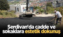 Serdivan'da cadde ve sokaklara estetik dokunuş