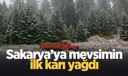 Sakarya'ya kar yağdı!