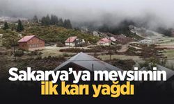 Sakarya'ya kar yağdı!