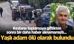 Kestane toplamaya gittikten sonra bir daha haber alınamamıştı... Yaşlı adam ölü olarak bulundu