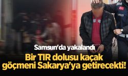 Bir TIR dolusu kaçak göçmeni Sakarya'ya getirecekti! Samsun'da yakalandı