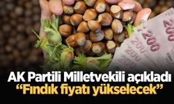 AK Partili Milletvekili açıkladı: “Fındık fiyatı yükselecek”