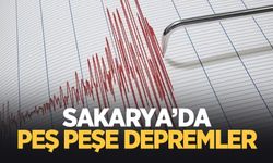 Sakarya'da korkutan deprem hareketliliği