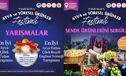 Pamukova Ayva ve Yöresel Ürünler Festivali için geri sayım başladı