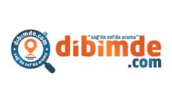 Dibimde.com Danışmanlık Ajansı: 13 Yıllık Deneyimle Hayatınızı Kolaylaştıran Çözümler Sunuyor