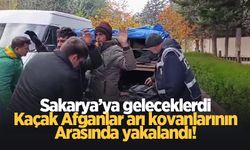 Arı kovanlarının altından 4 kaçak Afgan çıktı