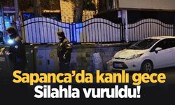 Sapanca'da silahlı saldırı