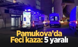 Pamukova'da kaza: 5 yaralı