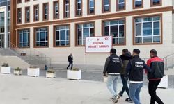 Yalova'da uyuşturucu operasyonunda 1 tutuklama