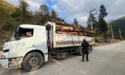 Bolu’da kaçak odun dolu kamyonlar yakalandı