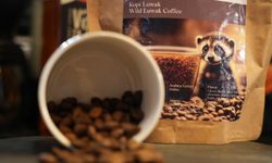 Dünyanın en pahalı kahvesi 'Kopi Luwak' Sakarya'da satışa sunuldu