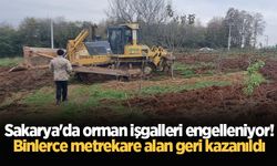 Sakarya'da orman işgalleri engelleniyor! Binlerce metrekare alan geri kazanıldı