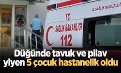 Düğünde tavuk ve pilav yiyen 5 çocuk hastanelik oldu