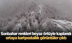 Sonbahar renkleri beyaz örtüyle kaplandı, ortaya kartpostallık görüntüler çıktı