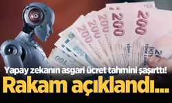 2025 yılı asgari ücreti ne kadar olacak? Yapay zekanın da bir tahmini var