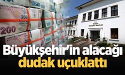 Sakarya Büyükşehir'in alacağı dudak uçuklattı