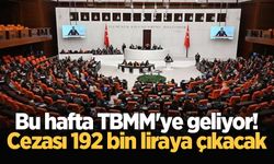 Bu hafta TBMM'ye geliyor! Cezası 192 bin liraya çıkacak