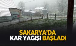 Sakarya'da yüksek kesimlerde kar yağışı başladı