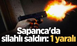 Sapanca'da silahlı saldırı: 1 yaralı