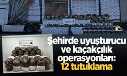 Sakarya'da uyuşturucu ve kaçakçılık operasyonları: 12 tutuklama