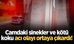 Camdaki sinekler ve kötü koku acı olayı ortaya çıkardı!