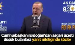 Cumhurbaşkanı Erdoğan'dan asgari ücreti düşük bulanlara yanıt niteliğinde sözler