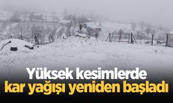 Yüksek kesimlerde kar yağışı yeniden başladı