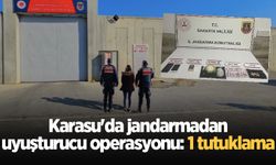 Karasu'da jandarmadan uyuşturucu operasyonu: 1 tutuklama