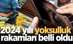 2024 yılı yoksulluk rakamları belli oldu