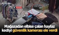 Mağazadan elbise çalan haylaz kediyi güvenlik kamerası ele verdi