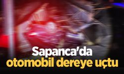 Sapanca'da otomobil dereye uçtu