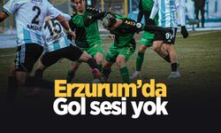 Sakaryaspor Erzurum'da dondu!