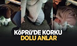 Ayağı köprüdeki çukura sıkıştı