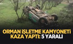 Orman işletme kamyoneti kaza yaptı. 5 yaralı