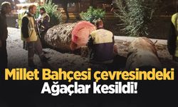 Millet Bahçesi çevresindeki bazı ağaçlar kesildi