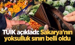 TÜİK açıkladı: Sakarya'nın yoksulluk sınırı belli oldu