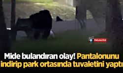 Mide bulandıran olay! Pantalonunu indirip park ortasında tuvaletini yaptı