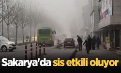 Sakarya'da sis etkili oluyor