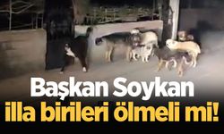 Başkan Soykan illa birileri ölmeli mi!