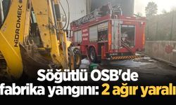 Söğütlü OSB'de fabrika yangını: 2 ağır yaralı